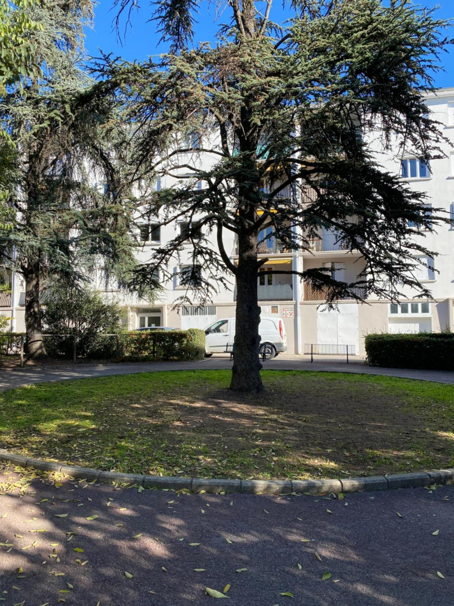 Appartement Rosaluz مونبيلييه المظهر الخارجي الصورة